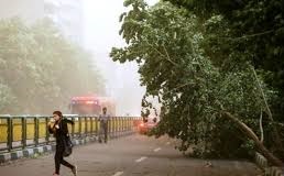 وزش باد شدید در ۱۵ استان کشور
