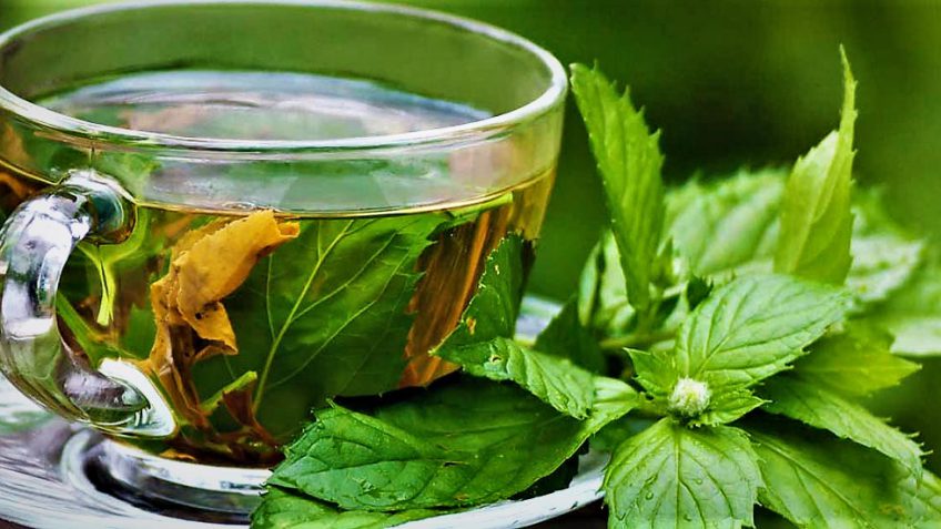 این گیاه سلامت شما را تضمین میکند