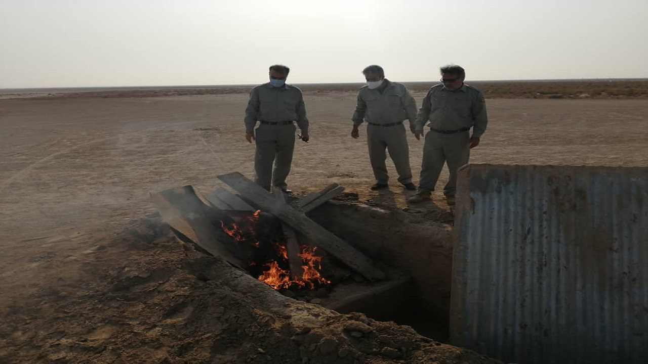 کشف و تخریب 5 کوخه در گناوه