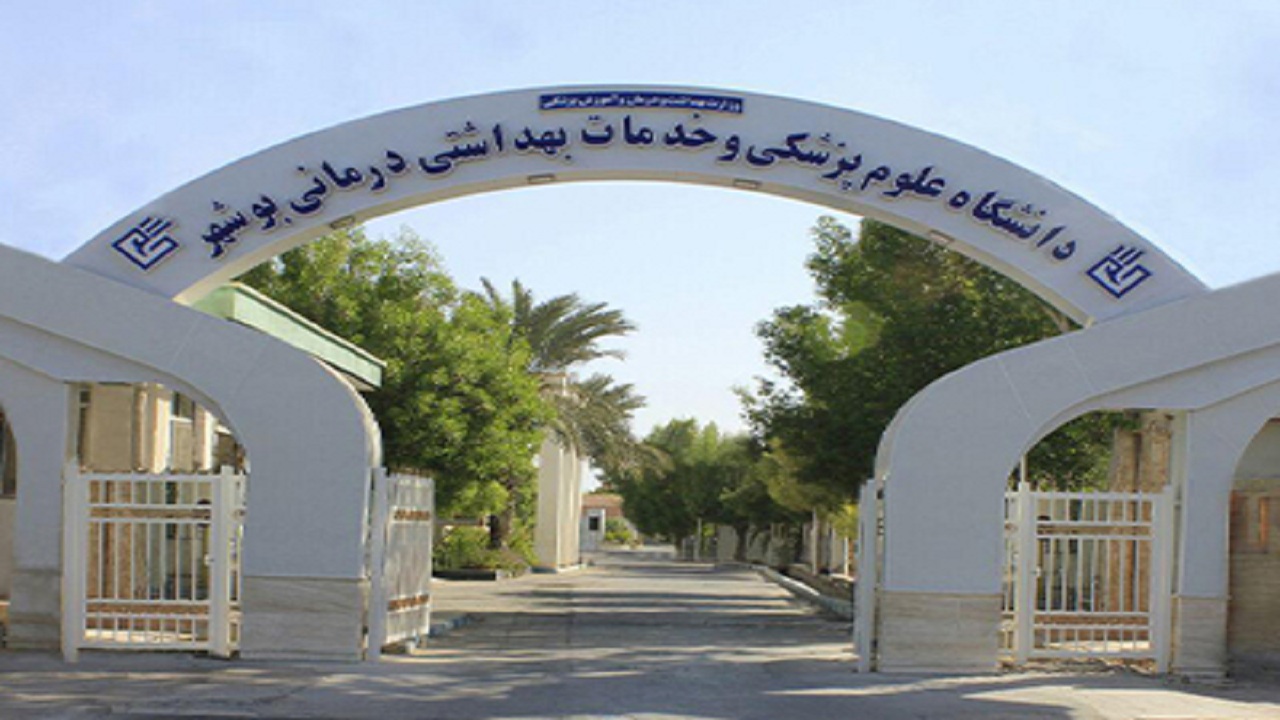 پرونده نیروهای اوتی در بیمارستانهای استان بوشهر بسته شد