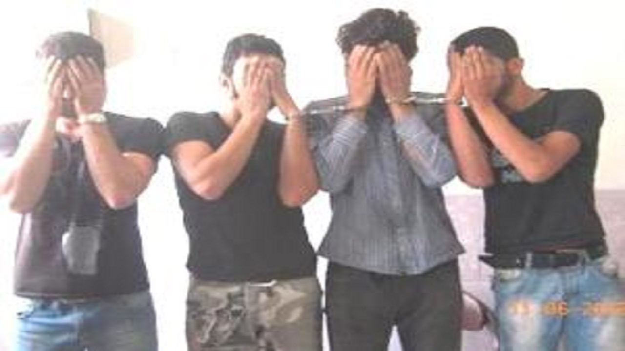 دستگیری ۴ سارق و کشف ۵ فقره سرقت در ایلام