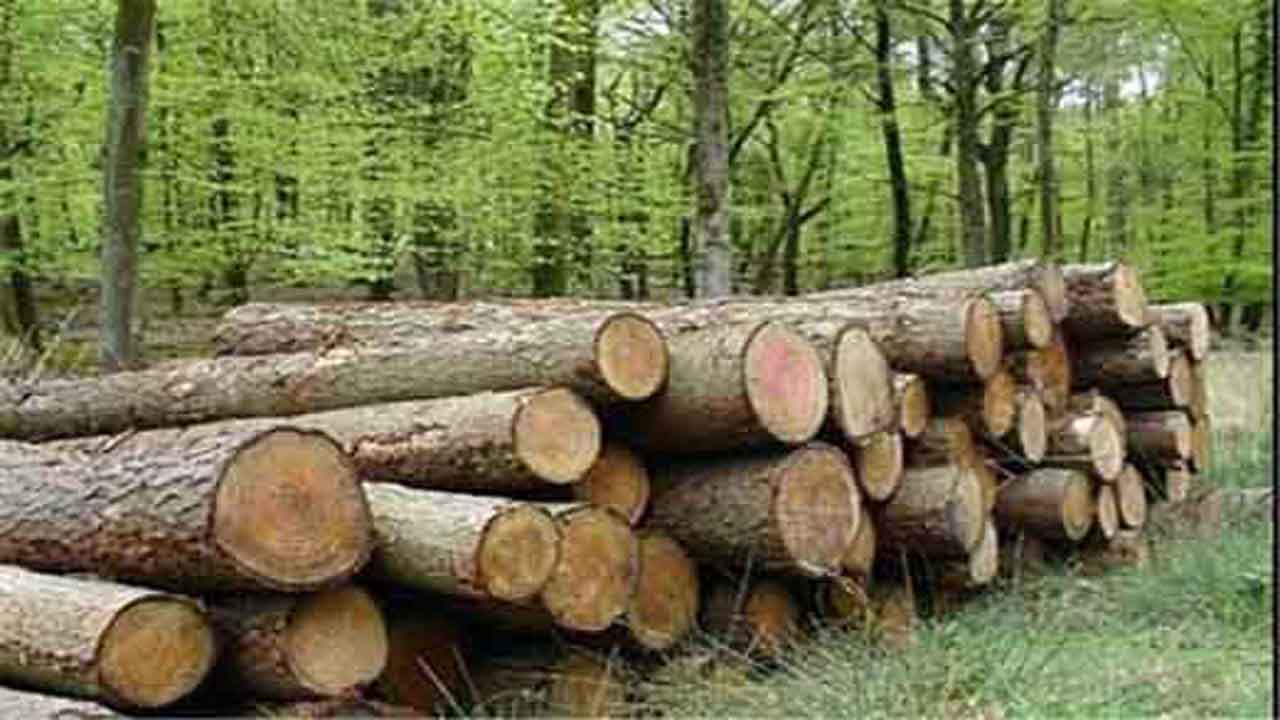 توقیف خودروی حامل چوب قاچاق در سوادکوه شمالی