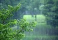 بارش های رگباری و کاهش دما در گیلان