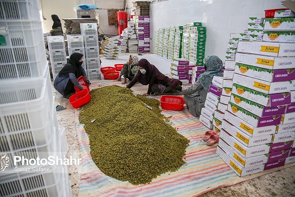 خلیل ‌آباد شهر تاکستان‌ها
