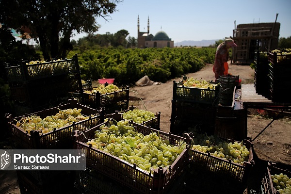 خلیل ‌آباد شهر تاکستان‌ها