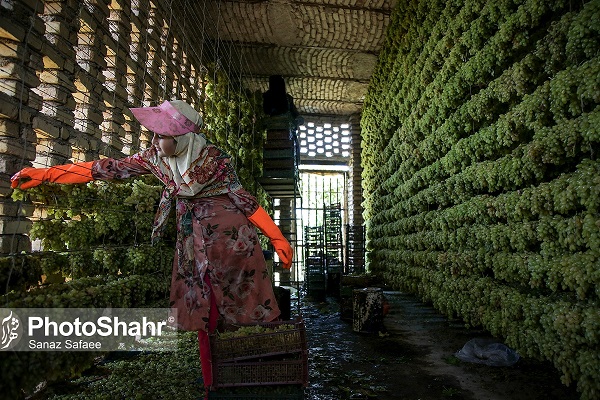 خلیل ‌آباد شهر تاکستان‌ها