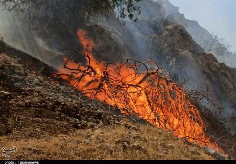 آتش‌سوزی جنگل‌های بلوط در شهرستان کوهرنگ مهار شد