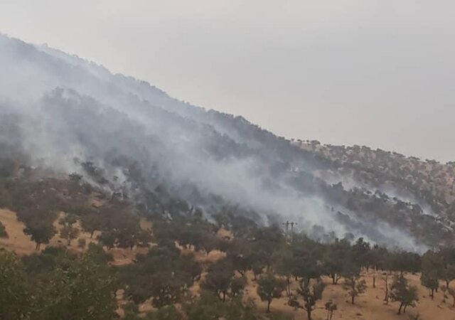 ۲ مورد آتش سوزی در جنگل‌ها و مراتع بویراحمد مهار شد