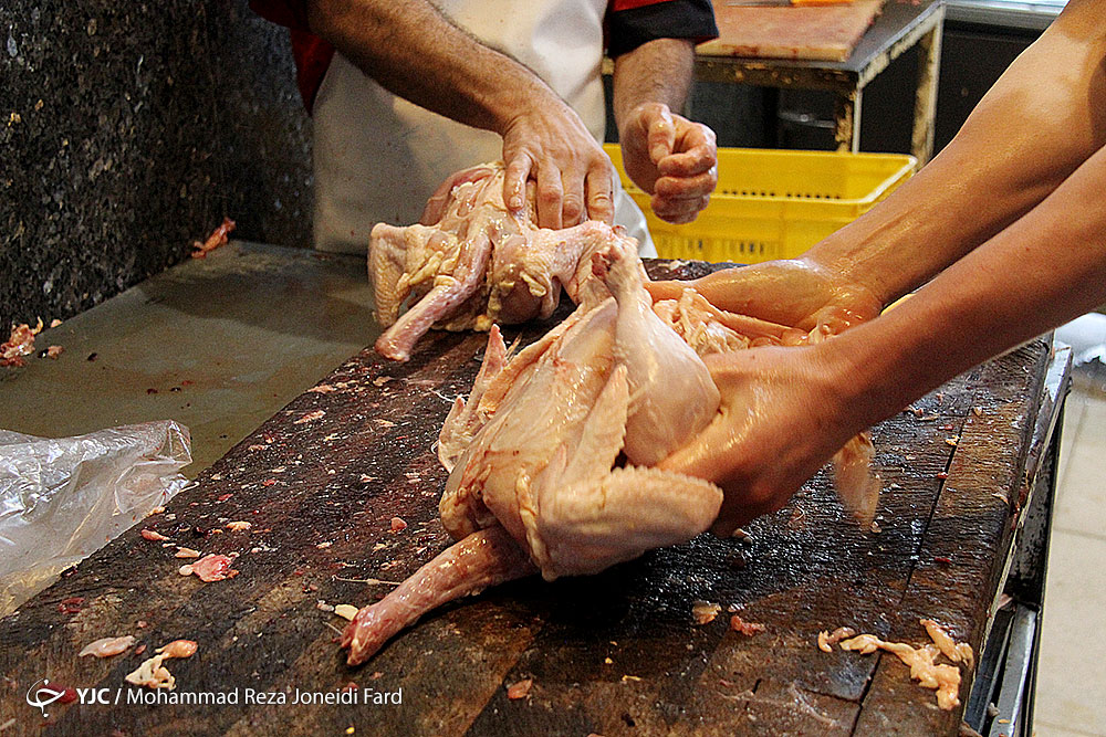 تکه کردن مرغ در مراکز بدون مجوز رسمی ممنوع