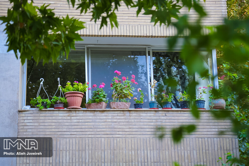 سهمی برای طبیعت