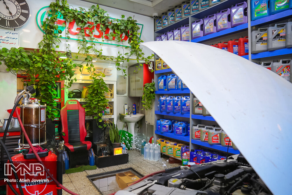 سهمی برای طبیعت
