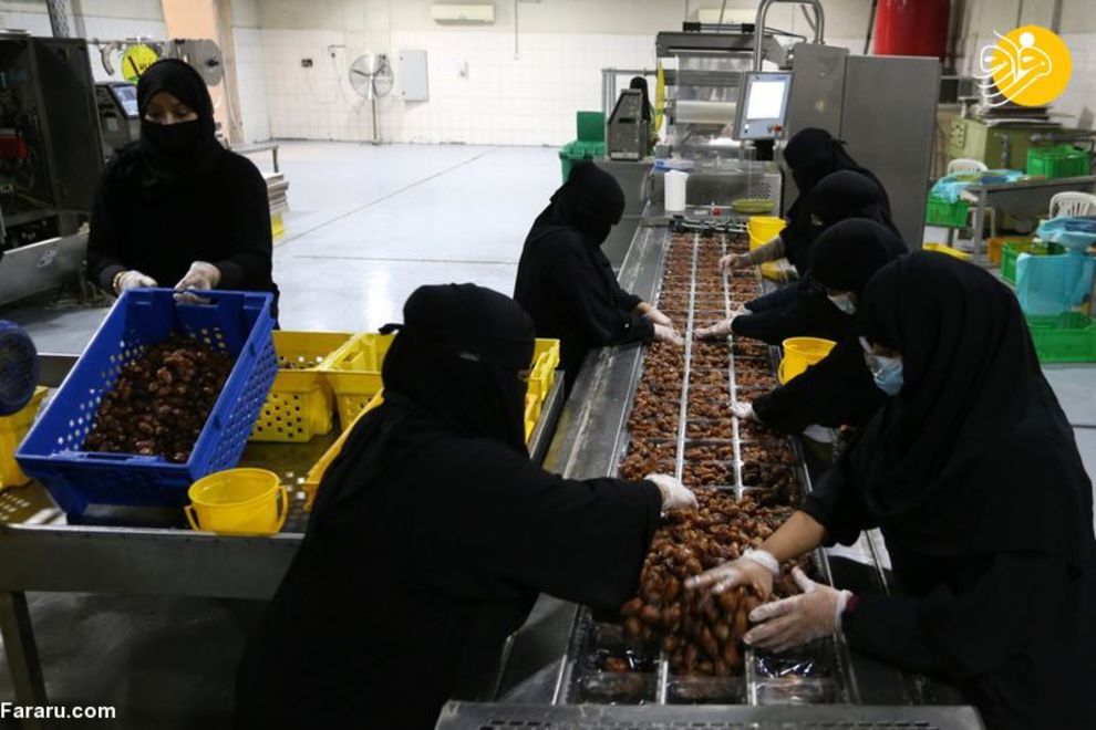 زنان عربستانی شاغل در کارخانه تولید خرما
