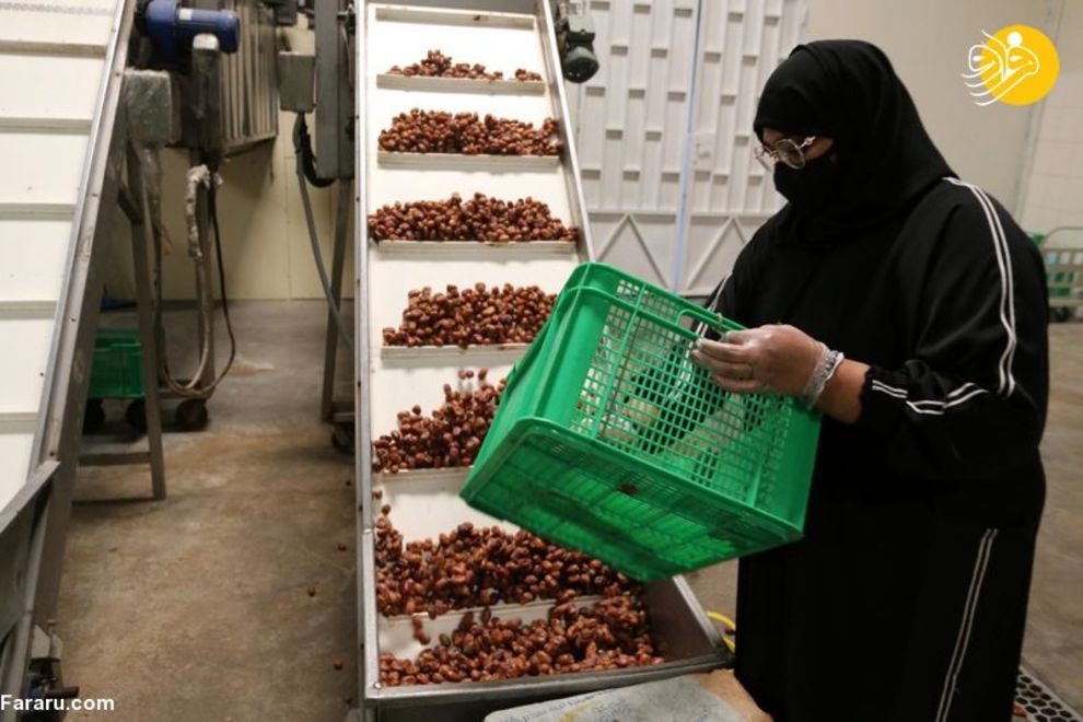 زنان عربستانی شاغل در کارخانه تولید خرما