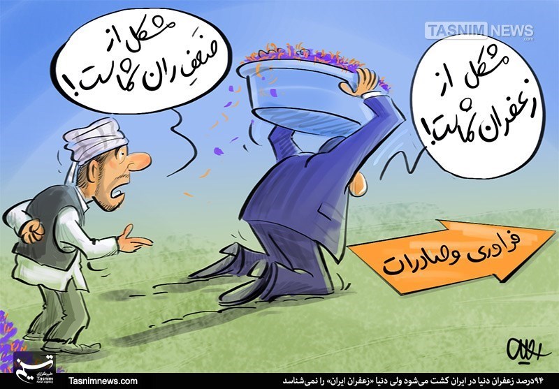 کارتون/ رنگ زرد طلای سرخ