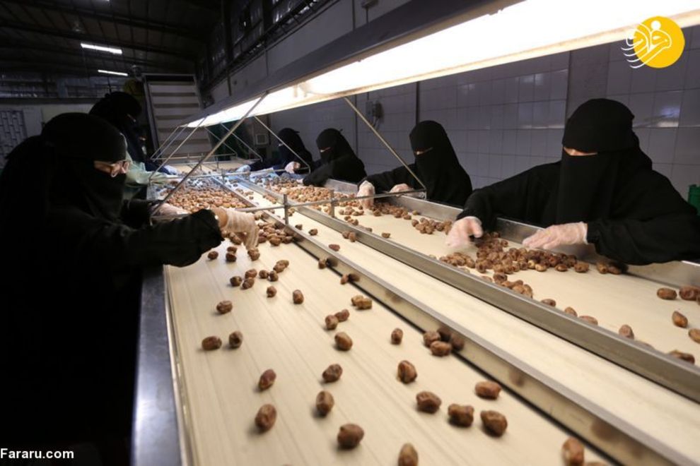 زنان عربستانی شاغل در کارخانه تولید خرما