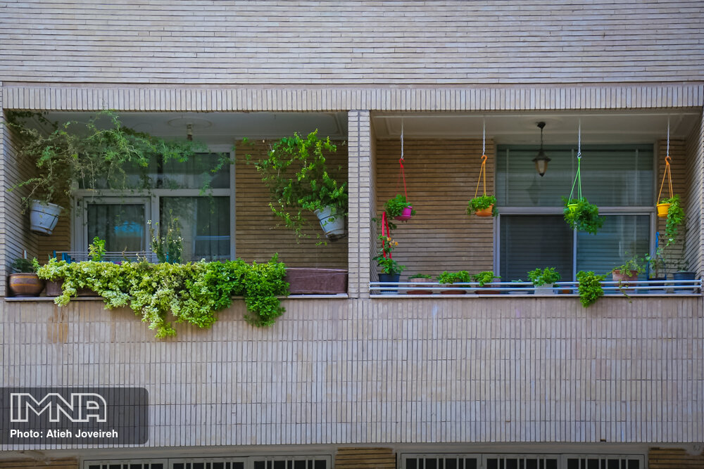 سهمی برای طبیعت
