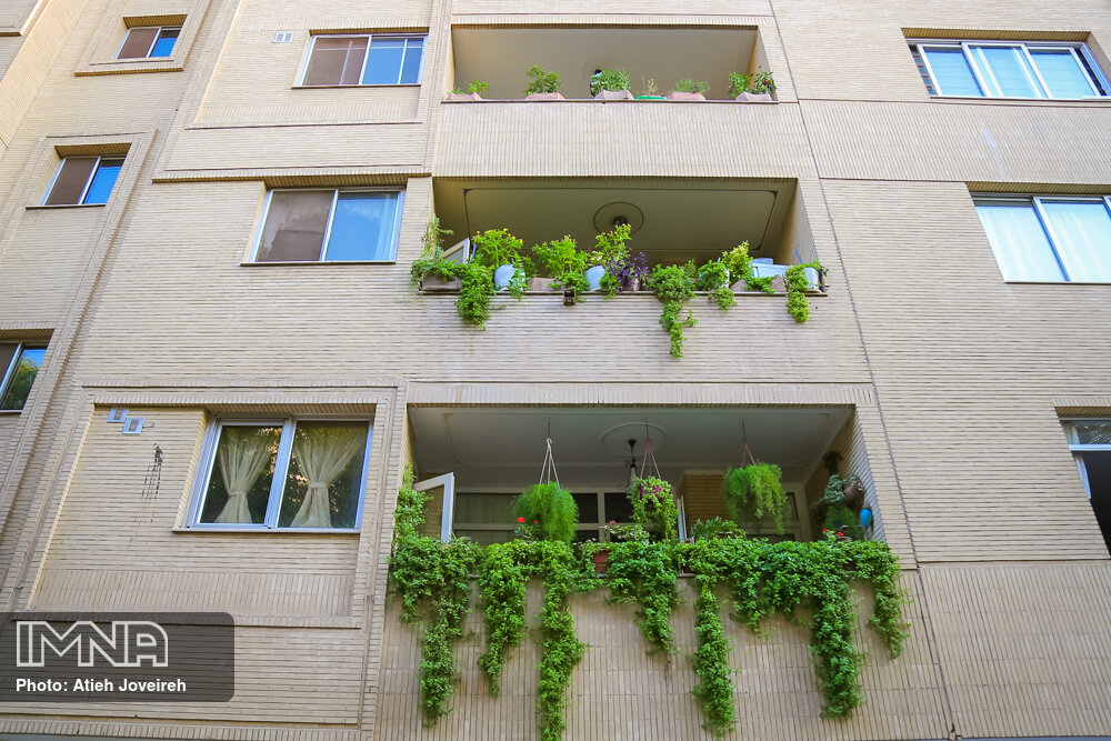 سهمی برای طبیعت