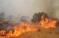 آتش‌سوزی در گردنه اسدآباد