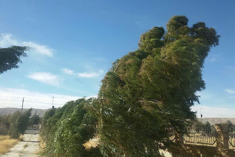 وزش باد در آذربایجان‌غربی ادامه دارد