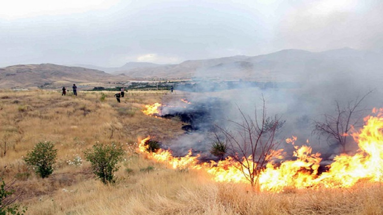 شناسایی ۱۲ مورد آتش سوزی عمدی در مراتع قزوین