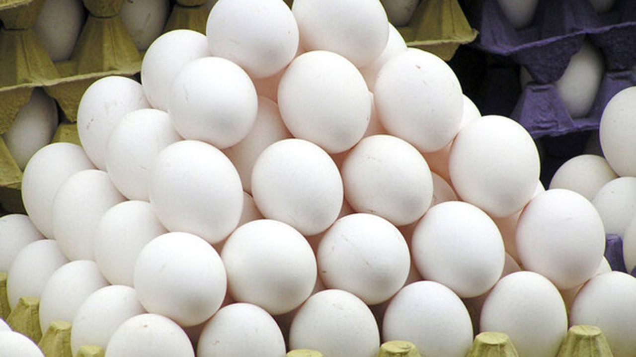 کشف تخلف گرانفروشی تخم مرغ در یک واحد تولیدی