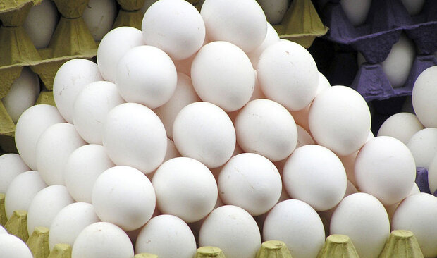 قیمت مصوب تخم مرغ مشخص شد؛ هر شانه حدود 26 هزار تومان