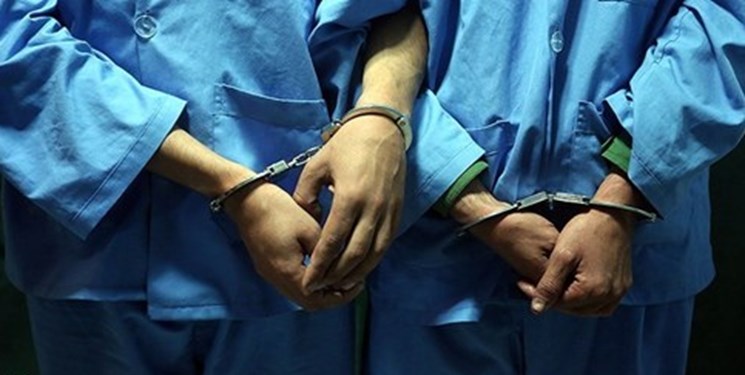 دستگیری ۱۴ سارق و توزیع‌کننده موادمخدر در ملایر