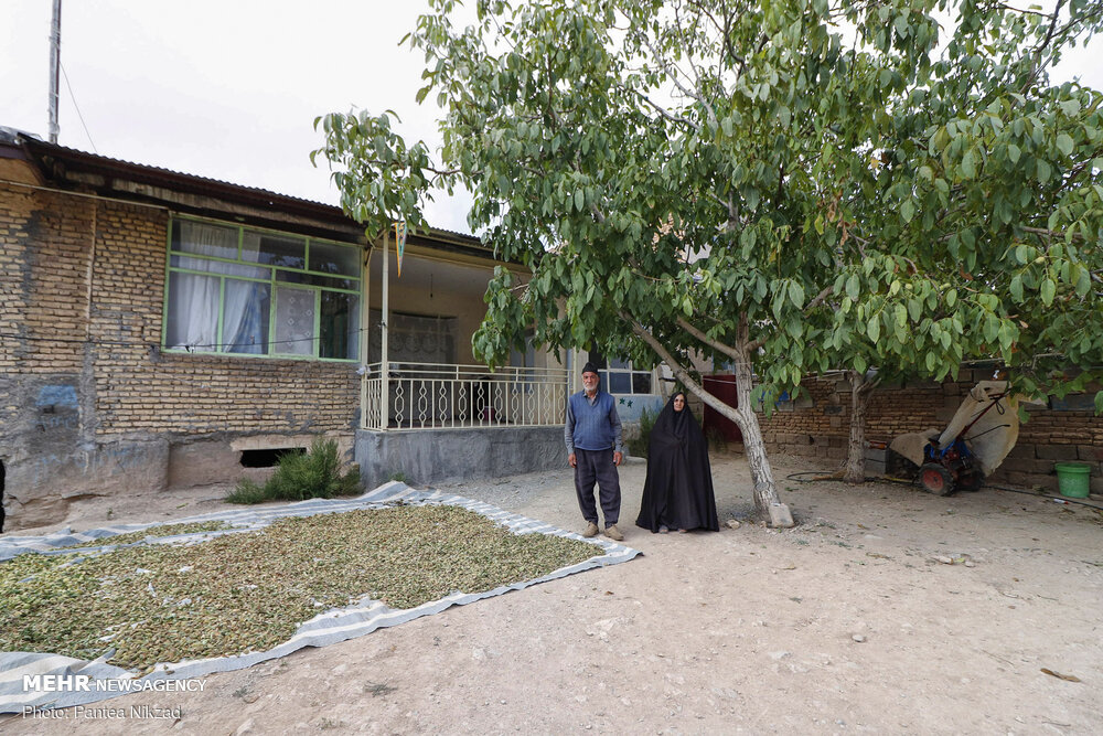 عکس/ ضرب‌الاجل ۳ ماهه رئیسی؛ روستای «شیخ‌شبان» نوسازی می شود!