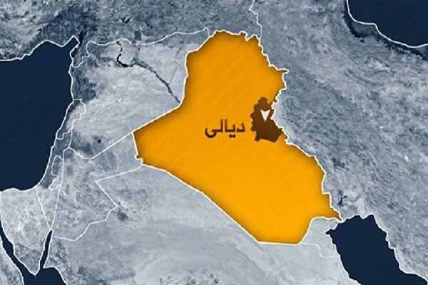 تشدید تحرکات داعش در دیالی عراق