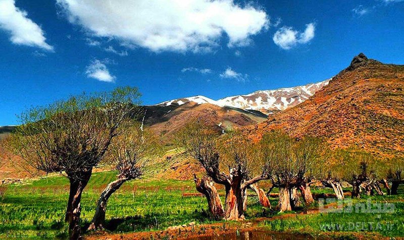 دشت هویج کجاست؟