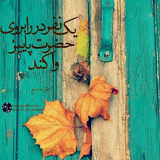 شاعرانه/ "پاییز می رسد که مرا مبتلا کند" از علیرضا بدیع