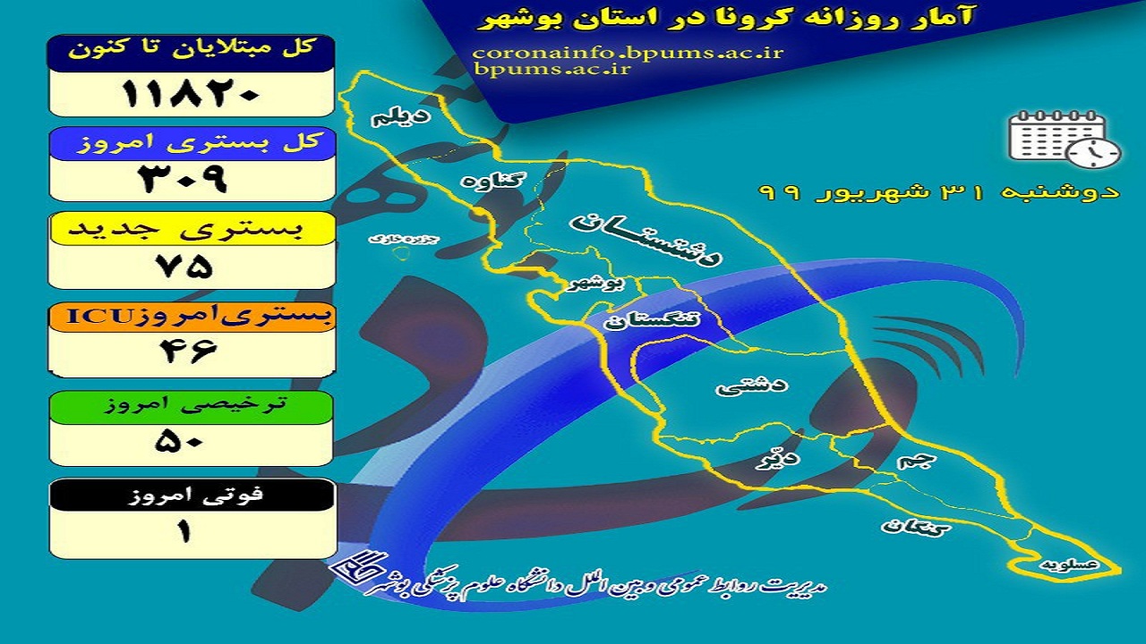 اینفوگرافی تعداد مبتلایان کرونا در استان بوشهر