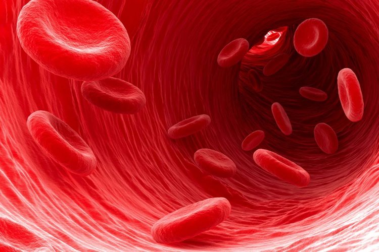 نوع نادری از خون به پیشگیری از مالاریا کمک میکند