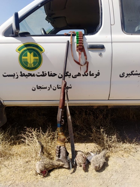 دستگیری شکارچی متخلف در ارسنجان فارس