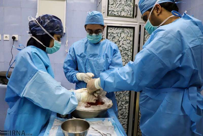 انتقاد از دولت در خط مقدم مبارزه با کرونا؛ قاطع نیستند