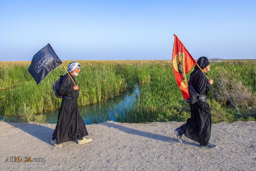 عکس/ پیاده روی اربعین از جنوب عراق به کربلا