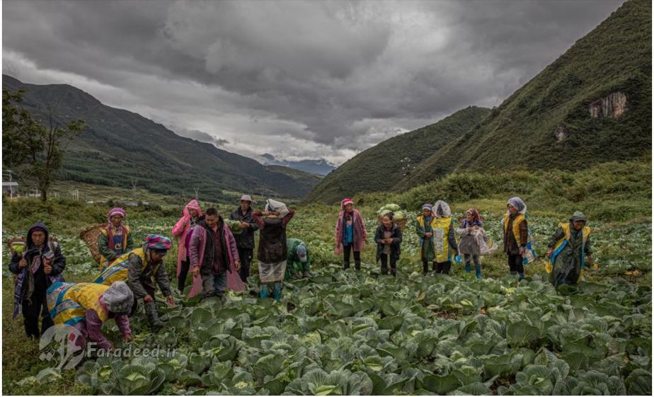 کوچاندن روستایی های چینی به شهر