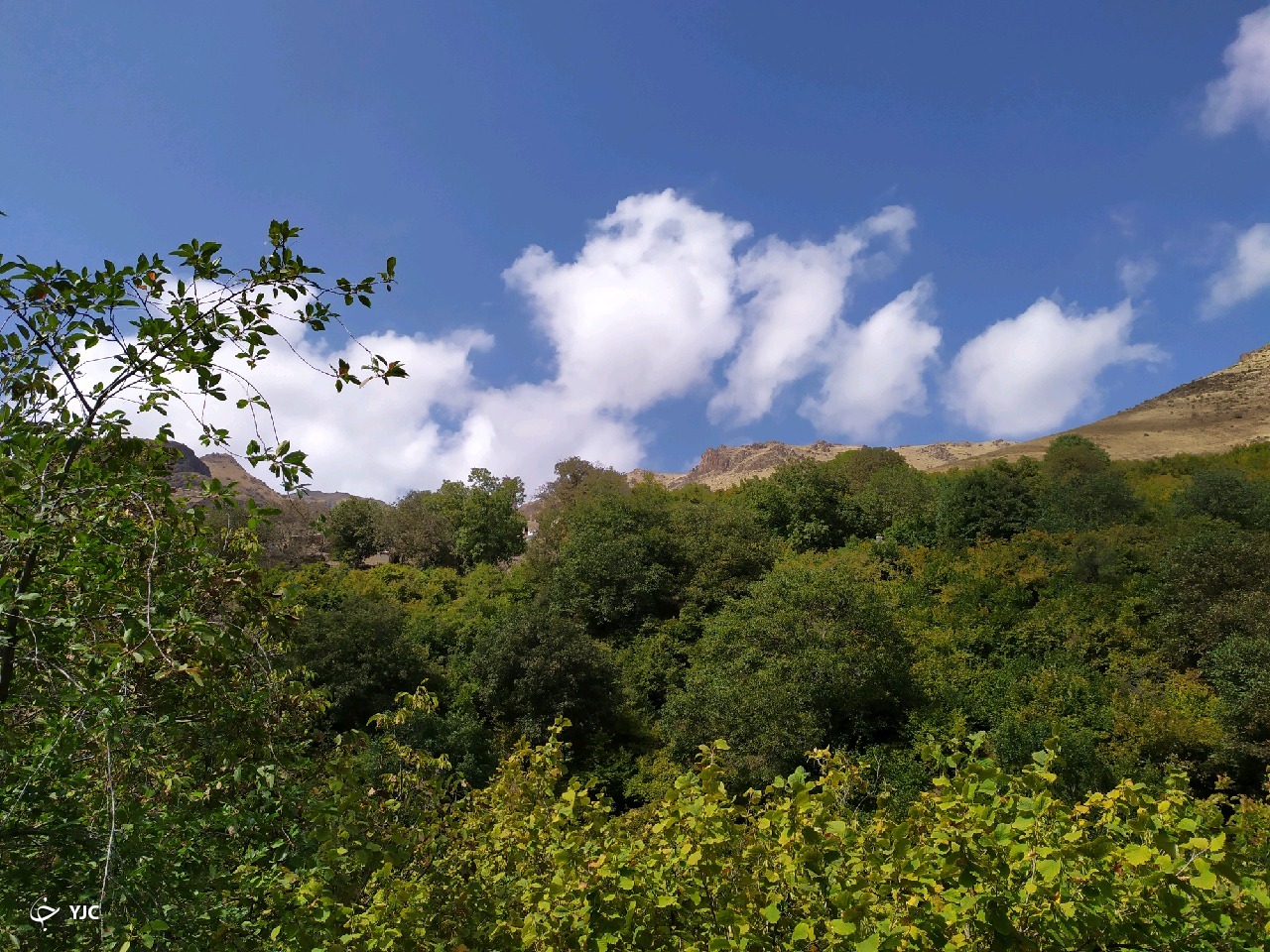 نمایی از طبیعت بکر در روستای پرچینه