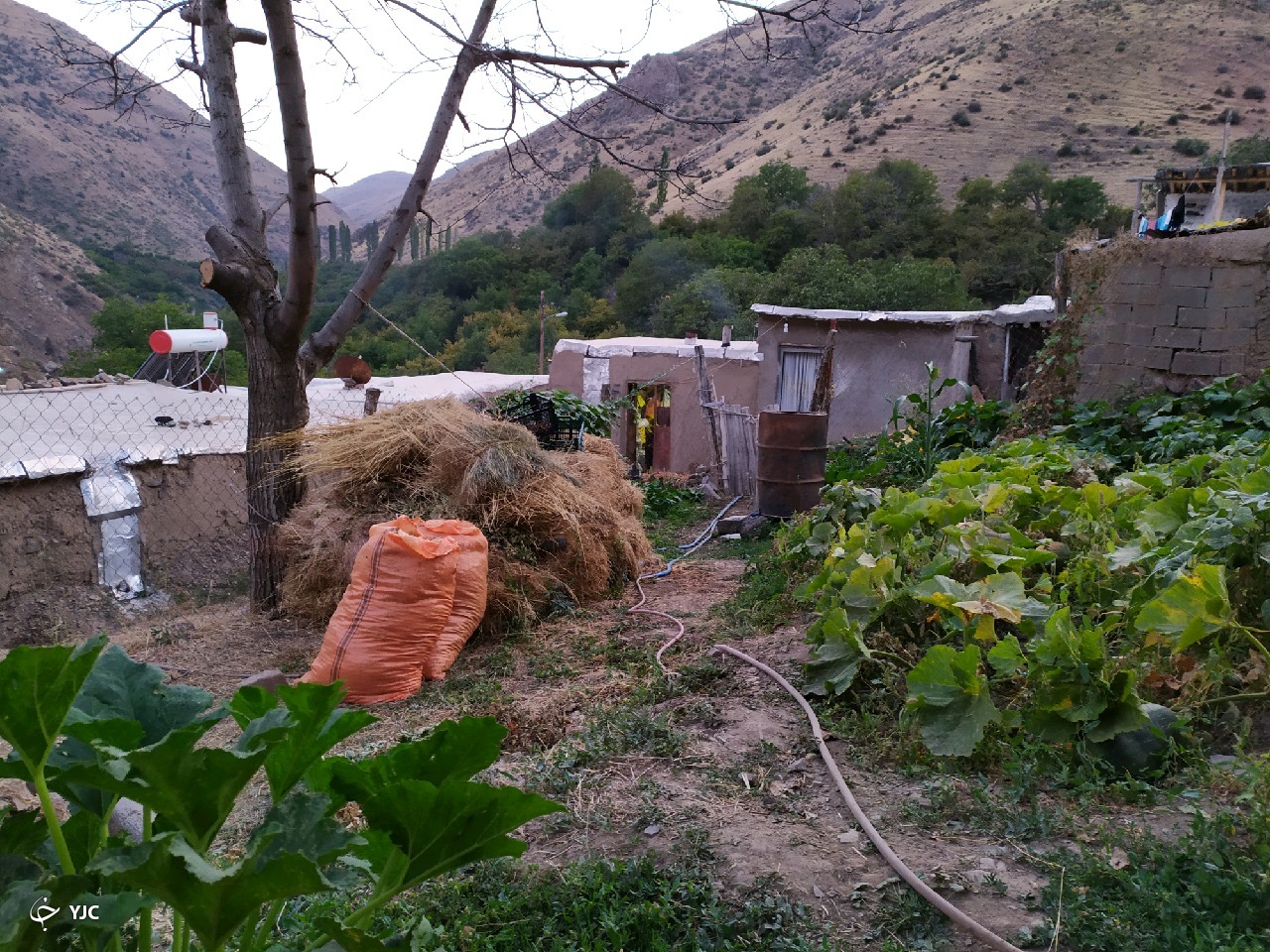 نمایی از طبیعت بکر در روستای پرچینه