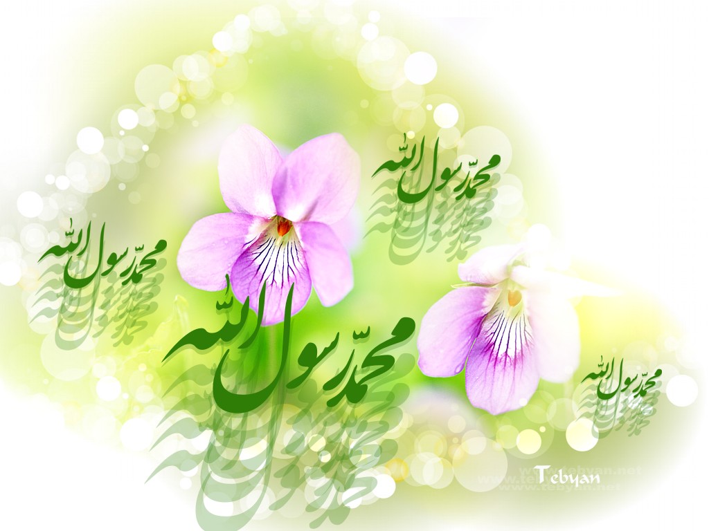 حکمت/ بخشنده‌ترین مردم پس از رسول خدا (ص) چه کسانی هستند؟