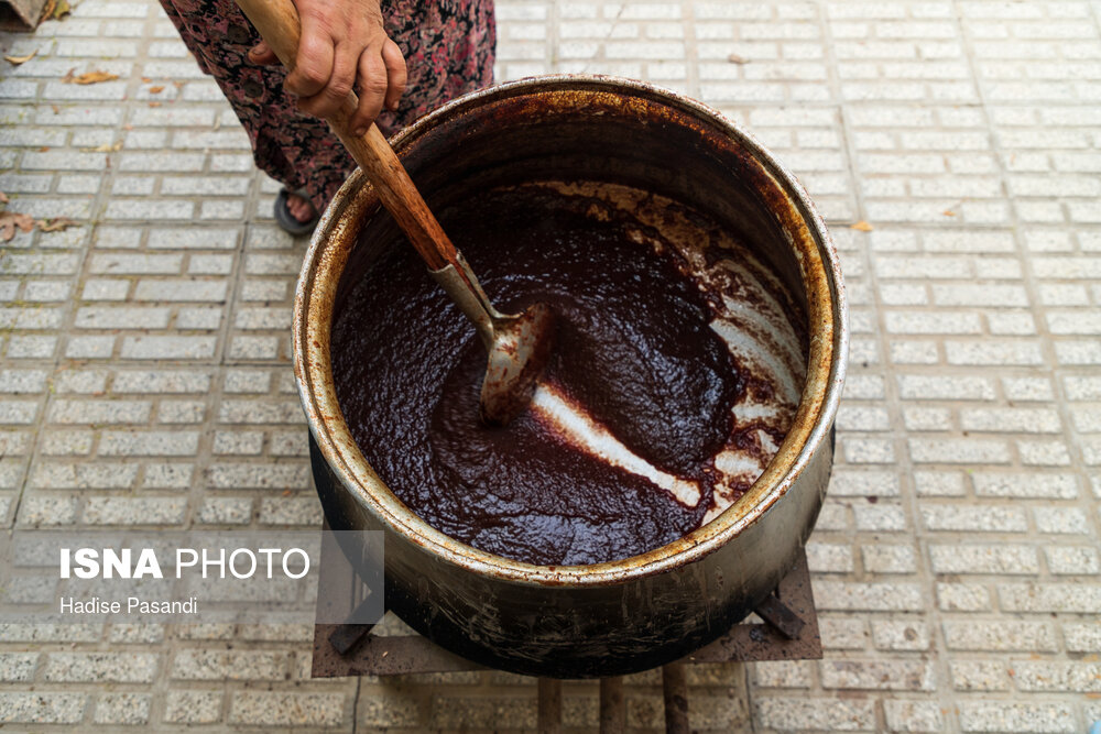 عکس/ برداشت و پخت رب انار در باغات دهستان یساقی
