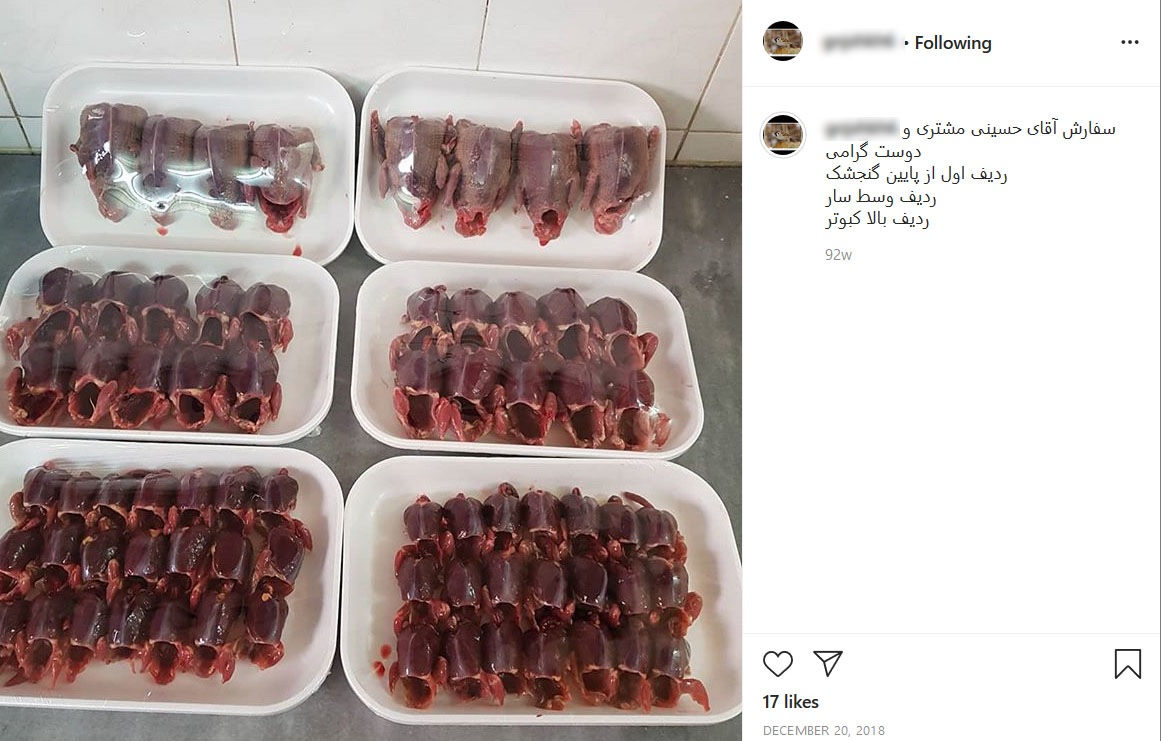 سفارش گوشت گنجشک و سار در فضای مجازی