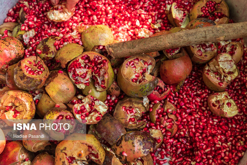 عکس/ برداشت و پخت رب انار در باغات دهستان یساقی