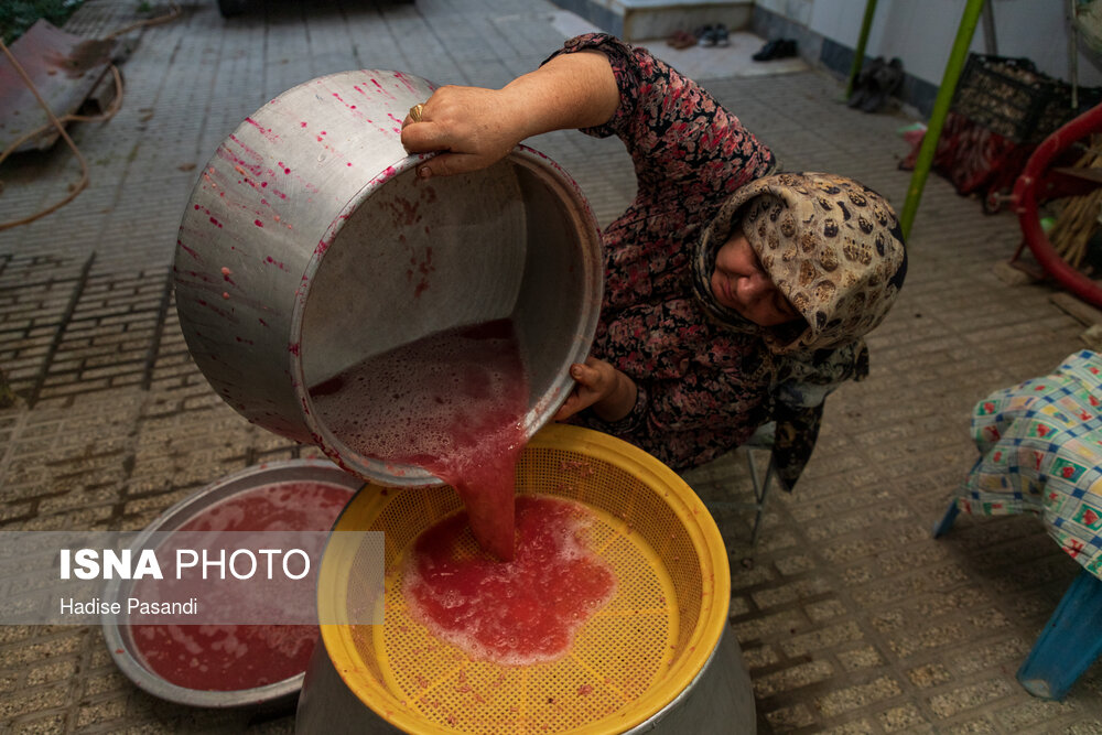 عکس/ برداشت و پخت رب انار در باغات دهستان یساقی