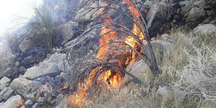 آتش سوزی در ارتفاعات روستای ویله