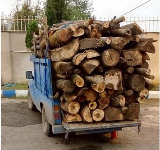 توقیف خودرو‌های حامل چوب قاچاق در قیروکارزین