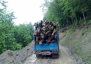 کشف ۴ تن چوب قاچاق در سوادکوه شمالی