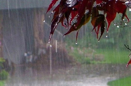 بارش اولین باران پاییزی در ایلام