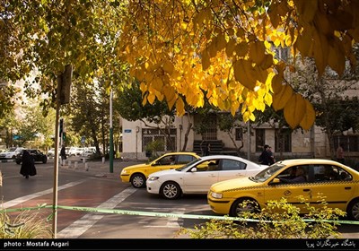 داستانک/ "تاکسی نوشت" از سروش صحت