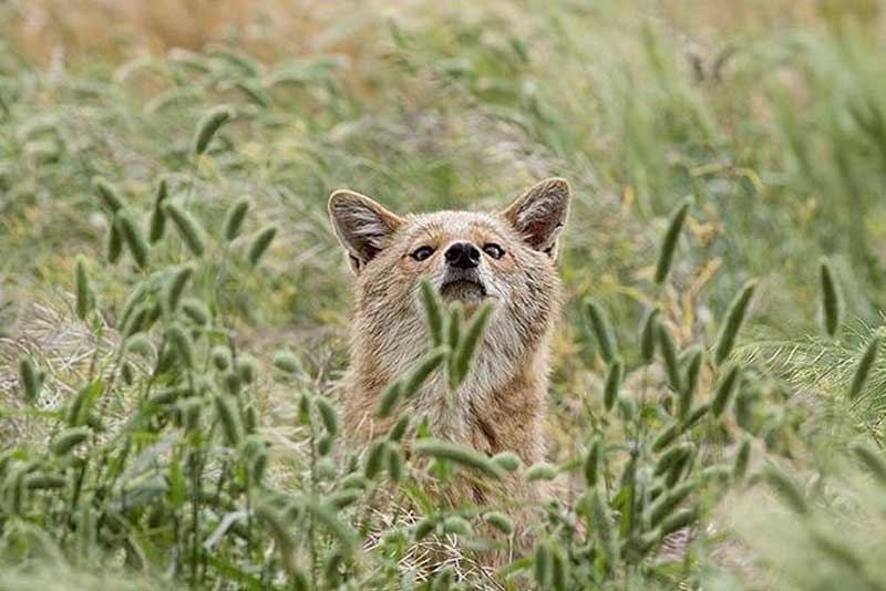 دیدنی های شوش؛ کهن ترین شهر ایران در خوزستان